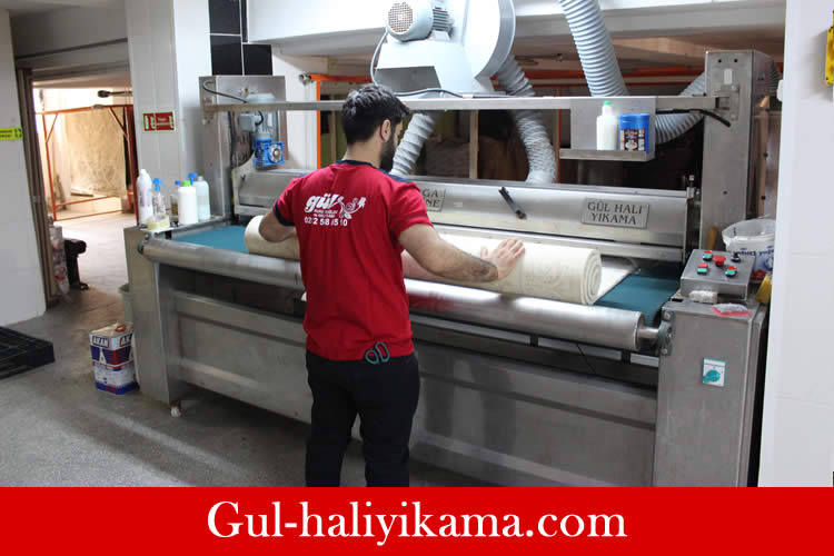 Halı yıkama Esenler