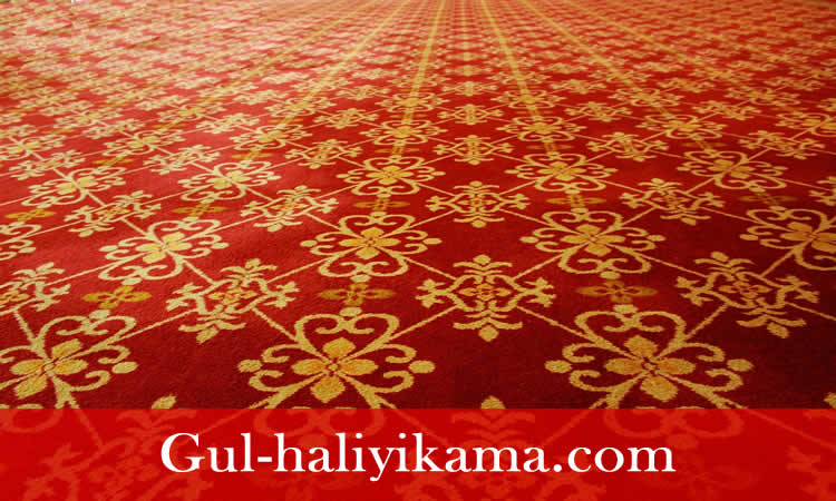 Step halı yıkama